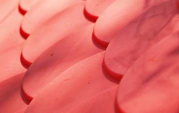 Bevere plastic roof costs