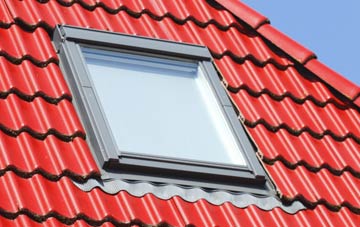 roof windows Bevere, Worcestershire